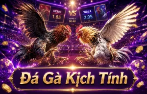 Sảnh Đá Gà DAGA giao diện gọn